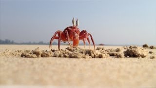 Тайланд :)) юго-восточный драйв от Lifexpert