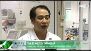 VTC14_Gia tăng bệnh nhân nguy kịch vì côn trùng đốt