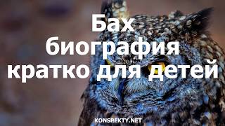 Бах: биография кратко для детей