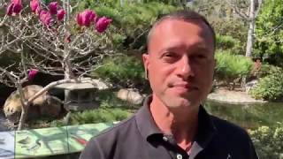 Матвей Северянин честные отзывы  Легендарный Матвей Северянин отзывы