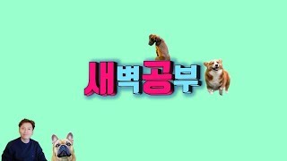 새벽공부, 국어 문법! 시작합니다! [새벽공부 with 빅균]