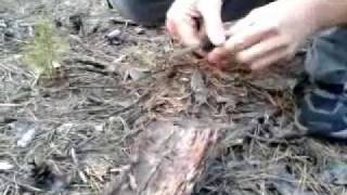 ОГНИВО для розжига костра. Альтернатива спичкам!