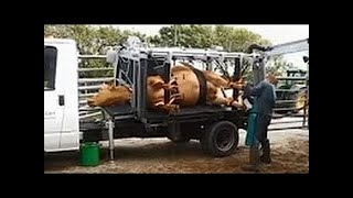 Самые невероятные машины в мире! Мегамашины 2017 (HD)