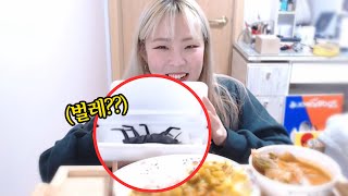 만두 먹어야ㅈ...?