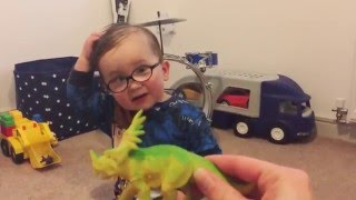 Dinosaurs according to Noel   Instagram noel_hopkins