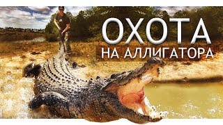 Человека утащил Крокодил!!! ОХОТА на Аллигатора. Спиннинг для крокодила.