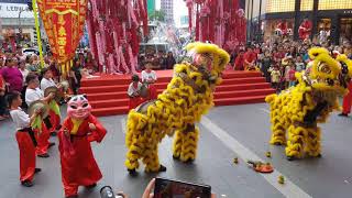 World Dragon & Lion Dance Day 2018 (Malaysia) Lion Dance by SJK (C) KEPONG 3 世界龙狮节(马来西亚站) 甲洞三校《採青》