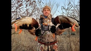 Охота на утку с чучелами, перелёт, приготовление дичи, duck hunting 2019