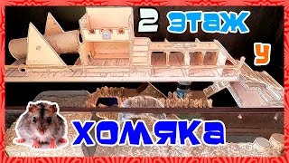 Второй этаж у хомячка. Беговая площадка с лабиринтом для хомяка
