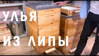 Улья из липы и в чем их преимущество