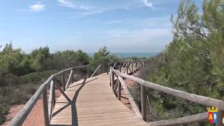 Conil de la Frontera