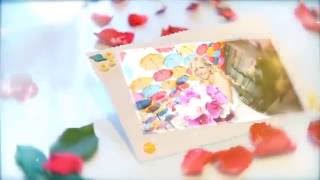 [Wedding] - Wedding Roses Footage