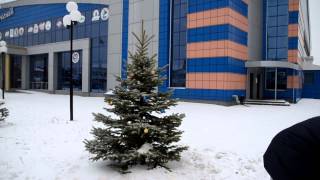 Новогоднее видео от хоккейного клуба «Белые Тигры» г. Оренбург.