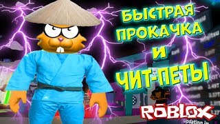 СЕКРЕТЫ ЛЕГЕНДЫ НИНДЗЯ⚔️ЧИТ Петы! КАК Быстро ПРОКАЧАТЬСЯ в NINJA LEGENDS Roblox