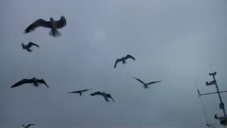 Святые места Соловки