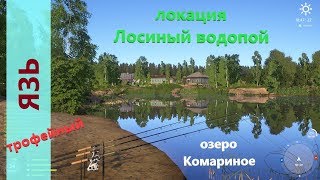 Русская рыбалка 4 - озеро Комариное - Закрываю трофов: язь