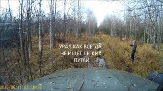 Урал-4320 или Зил-131. Какая из машин проходимее? Видео от первого лица.