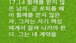 창세 17,1~27 계약과 할례