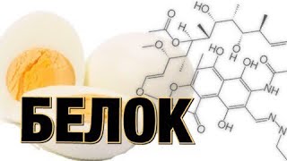 БЕЛОК | ФУНКЦИИ И СВОЙСТВА БЕЛКОВ | ДЕНАТУРАЦИЯ БЕЛКА | КАЧЕСТВЕННЫЕ РЕАКЦИИ НА БЕЛОК