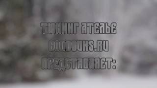 Обзор и отстрел Horhe-Jager .222 Rem от GoodGuns.ru