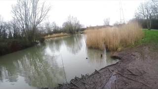Pescuit la crap cu capturi de 4-5 kg