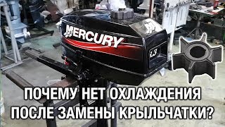 ⚙️??Почему нет охлаждения после замены крыльчатки? Лодочный мотор Mercury 3.3