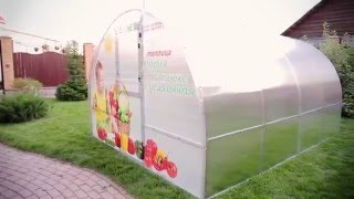 Теплица Мария Делюкс Усиленная - монтаж, сборка, установка (от начала и до конца)