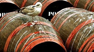 10 самых ужасных и отвратительных блюд мира #2
