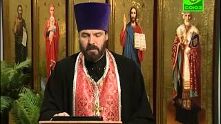 12 января. Преподобная Феодора Цареградская