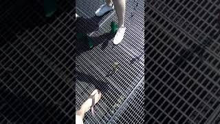 Полеты у Мулен Руж