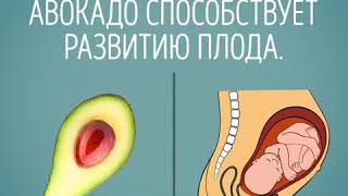 Ты то, что ты ешь