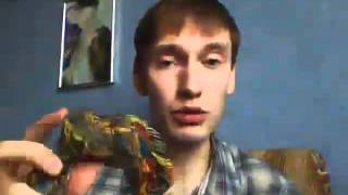 Как приучить щенка к поводку (урок 2)