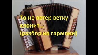 То не ветер ветку клонит...(разбор на гармони с цифрами)