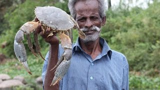 2.5 KG BIG CRAB Prepared by my Daddy  / VILLAGE FOOD FACTORY