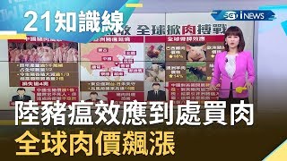 瘋搶肉！ 中國豬瘟效應到處買肉 全球肉價飆漲｜主播 廖婕妤｜【知識小學堂】20190926｜三立iNEWS