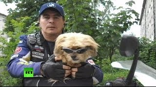 Мотопес Стич: в собачьем байк-клубе появился первый представитель из России