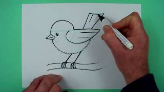 Vogel zeichnen mit genauer Anleitung. Zeichnen für Kinder