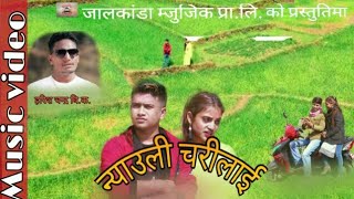 New NepalI Lok Dohori Song 2075/2019 Nyauli Charilai-न्याउली चरिलाई Deepak  Rasahili Niru thapa Ft