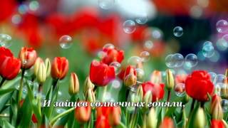 Ах, как цвели тюльпаны!..