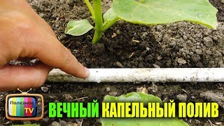 ВЕЧНЫЙ КАПЕЛЬНЫЙ ПОЛИВ СВОИМИ РУКАМИ СДЕЛАЙ И СЕБЕ ТАКОЙ