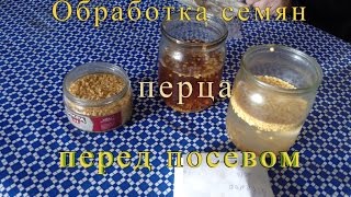Обработка семян перца перед посевом