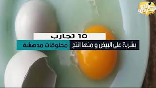 تم حقن البيض بحيوانات منوية شاهد نتيجة هذة التجربة