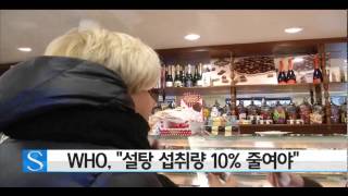 WHO, "설탕 섭취량 10% 줄여야" / YTN 사이언스