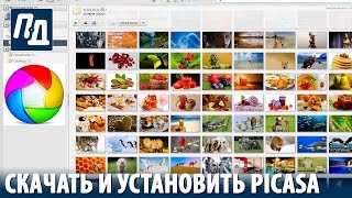 Как скачать и установить программу Picasa