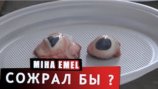 ЖРЕМ ГЛАЗА И МОЗГИ ЗА 10.000 РУБЛЕЙ !!! | Miha Emel