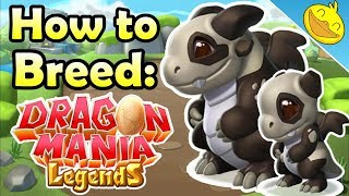 How to Breed the PANDA DRAGON! - DML (Breeding Token Dragon)