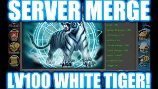 Taichi Panda | Server Merge | LV100 White Tiger Demigod!
