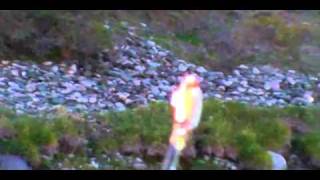 Steelhead fishing on the Salmon River
