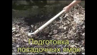 Плоскорез Фокина.