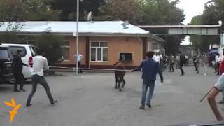 Бедодгарии буққа дар шифохонаи Душанбе